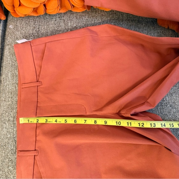 ❣️🆕Old Navy High-Waisted Pixie Skinny Pants in Ginger Spice❣️ - Picture 9 of 10